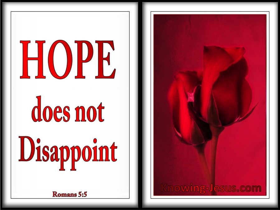 Romans 5:5 Hope Does Not Disappoint (red)